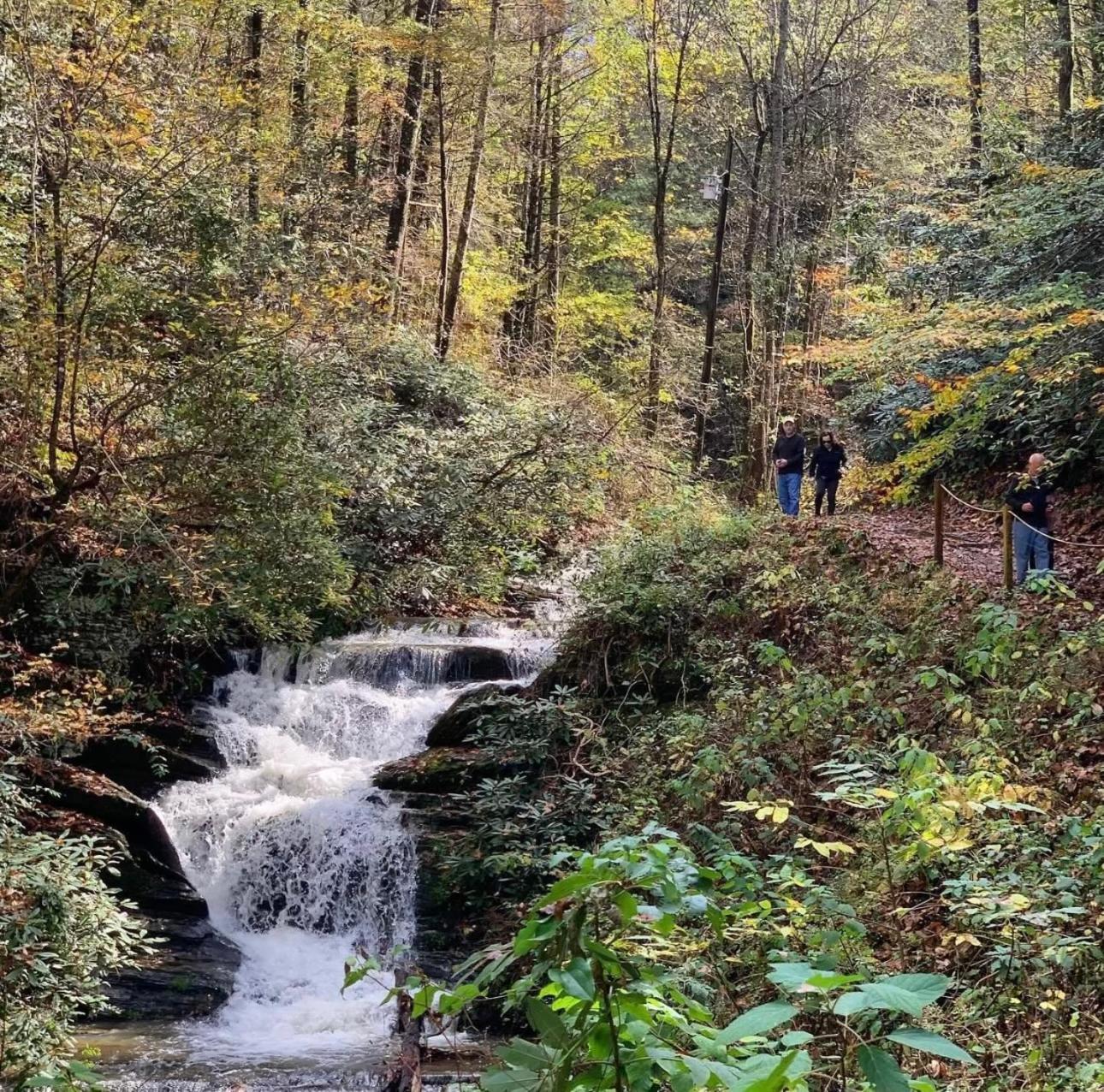 فيلا Eagle'S Ridge سيفيرفيل المظهر الخارجي الصورة